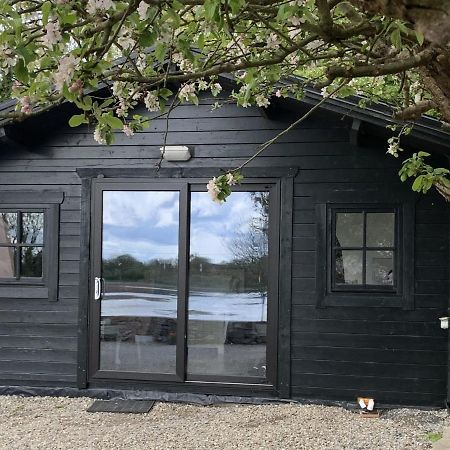 The Cosy Cabin By The Shore กัลเวย์ ภายนอก รูปภาพ